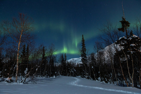 Green polar arctic Northern lights Aurora Borealis activity in winter Finland, Lapland © Kateryna