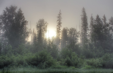 early morning on the river