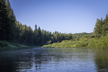 River in deep forest