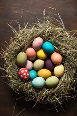 Colorful easter eggs in a nest. Happy Easter!