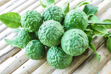 Fototapeta premium Kaffir lime