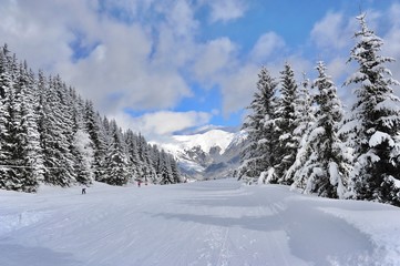Empty ski slope with snowy trees