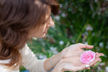 Profile portrait of a beautiful young brunette woman holding a pink rose flower in her hand and looking at it. A girl with long hair and a white blouse