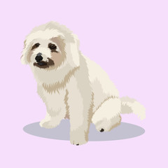 White dog isolated on the background. Vector illustration.