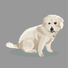 White dog isolated on the background. Vector illustration.
