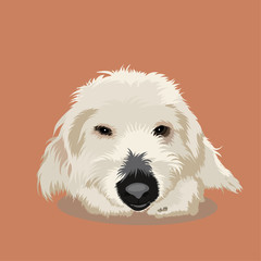 White dog isolated on the background. Vector illustration.