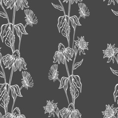 seamless pattern echinacea graphic flowers bouquet elements bud nature outline vector wallpaper colored background print - obrazy, fototapety, plakaty
