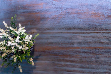  flower nature leaf bokeh background.