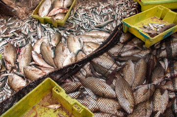  Fishing industry in Portugal.