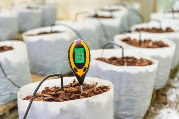 Use soil PH meter for check the PH value 