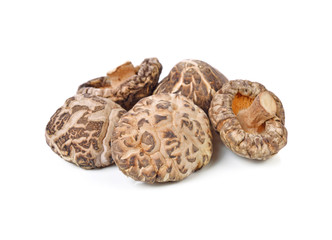 Dry Mushrooms on white background