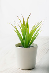 Potted artificial aloe vera leaf on wood table on white background