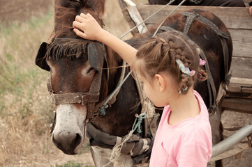 Little girl stroking a donkey. Animal friendship.