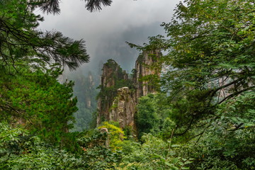 Yubi Feng Peaks through the trees of Tianzi Mountain.  Yuanjiajie Scenic Area , Zhangjiajie...