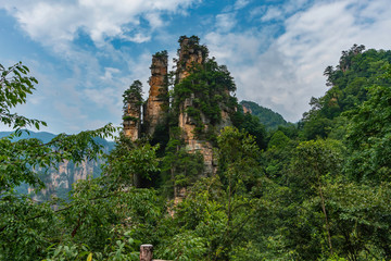 Obraz premium Spectacular landscape. Rock formations Special rock formation as columns (or pillars) rising from the valley. Zhangjiajie National Park, China
