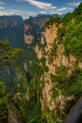 Fototapeta na wymiar Vertical view for the deep valley. Mountain cliff in Yuanjiajie Scenic Area. Zhangjiajie Natural Park, Hunan province, China. 