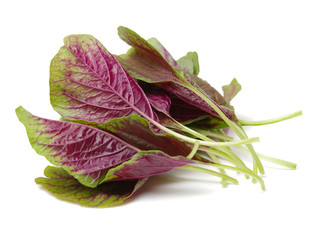 amaranth on a white background