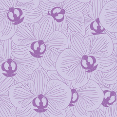 Seamless pattern of orchid flower texture in purple