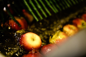 Apples Floating in Water in Packing Warehouse