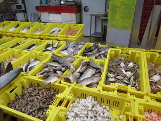 Fischmarkt in Akko