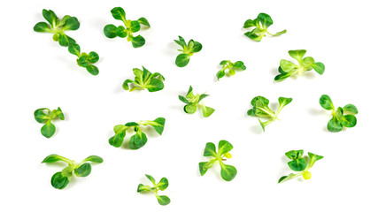 Mash salad on white background.