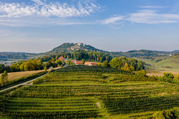 Fototapeta na wymiar panorama view from vineyard vine Kapfenstein south styria