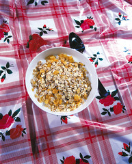 Cereal m&uuml;sli dish with fruit on red flower pattern oilcloth