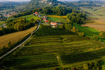 panorama view from vineyard vine Kapfenstein south styria