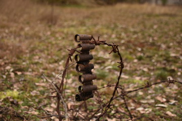 Erbe