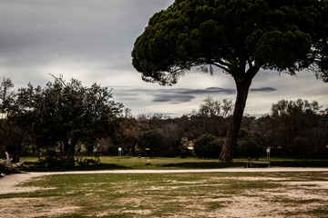 Monte de Boadilla