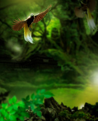 Fototapeta premium 3D rendering illustration of a Flying Exotic Bird over The Jungle.
