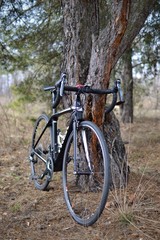 Fototapeta na wymiar Road bicycle in a forest