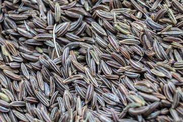 Seasoning for food dried cumin closeup. Macro photography