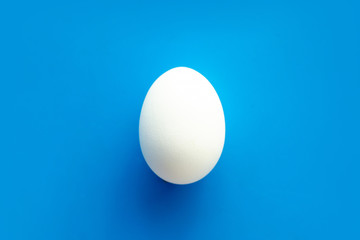 One white egg on a blue background