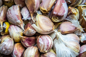 Dried garlic cloves close-up. Macro photography