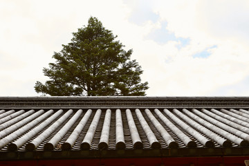 Japanese traditional building, kawara roof tiles 