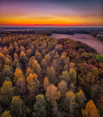 Wielkopolskie lasy i pola, widok z lotu ptaka - obrazy, fototapety, plakaty