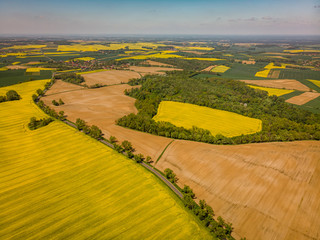 Pola rzepaku, widok z lotu ptaka © Piotr Gołębniak