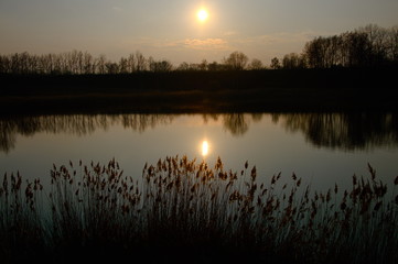 Czerwony zachód słońca na jeziorem, na pierwszym planie Tatarak. Bytom śląski Krajobraz. - obrazy, fototapety, plakaty