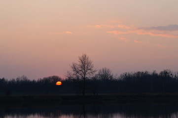 Czerwony zachód słońca nad jeziorem. Pierwszym planie samotne drzewo. Śląskie krajobrazy, Chorzów.