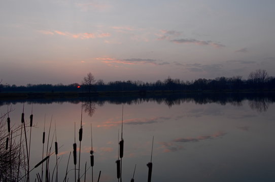 Czerwony zachód słońca nad jeziorem. Pierwszym planie samotne drzewo. Śląskie krajobrazy, Chorzów.