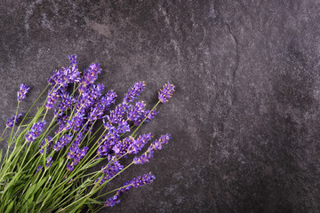 Top view of fresh lavender flowers