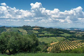 Rural landscape near Monterubbiano, Marches, Italy