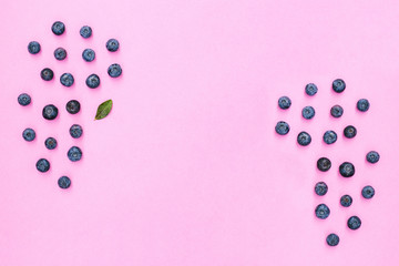 Blueberries on a pink background with copy space. Summer fresh berries. Healthy eating concept.