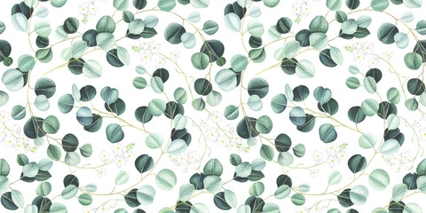 Seamless pattern with eucalyptus leaves and little white flowers on white background. Watercolor illustration. © Oleksandra