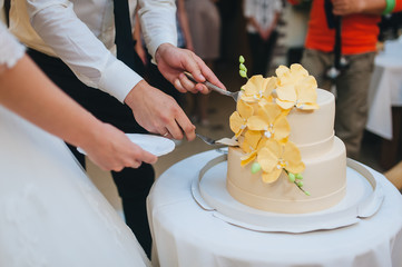 The bride and groom at the wedding party cut a delicious and beautiful, decorated with flowers,...