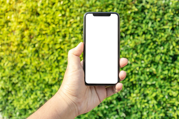 Asian man holding phone mock up center frame at park outdoor have tree green background isolated display for insert screen