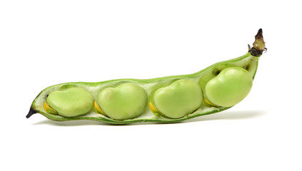 Broad beans on white background