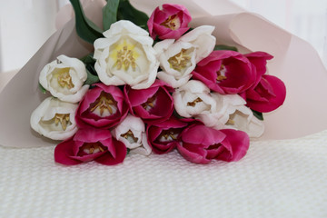 Bouquet of flowers from tulips