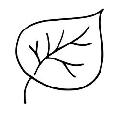 silhouette vector set for coloring book. Black thick stroke. vector